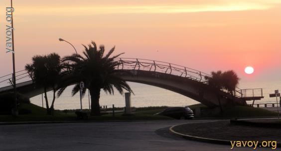 Mar del Plata