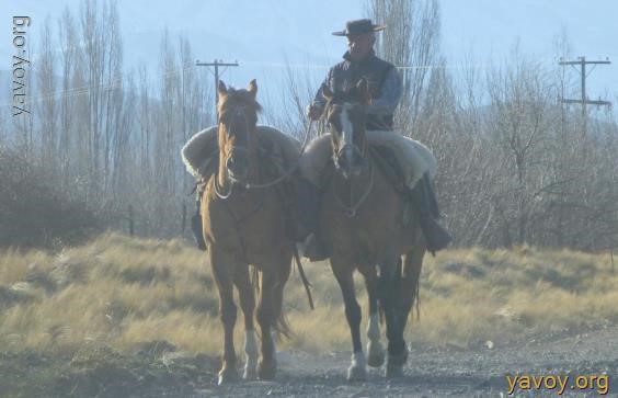 Tupungato