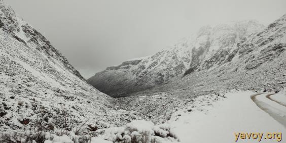 Refugio Alferez Portinari