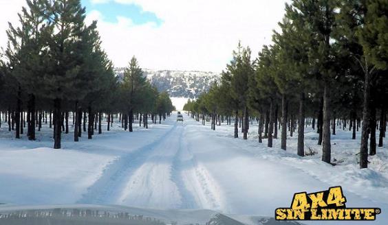 Villa Pehuenia PicPicX